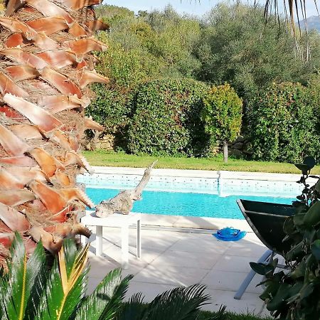 Studio 5Min Plage Agosta Albitreccia 外观 照片