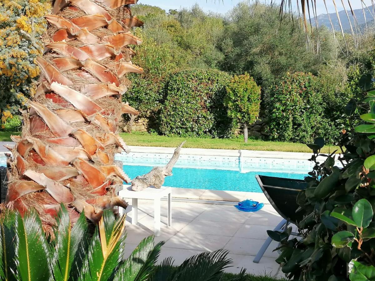 Studio 5Min Plage Agosta Albitreccia 外观 照片